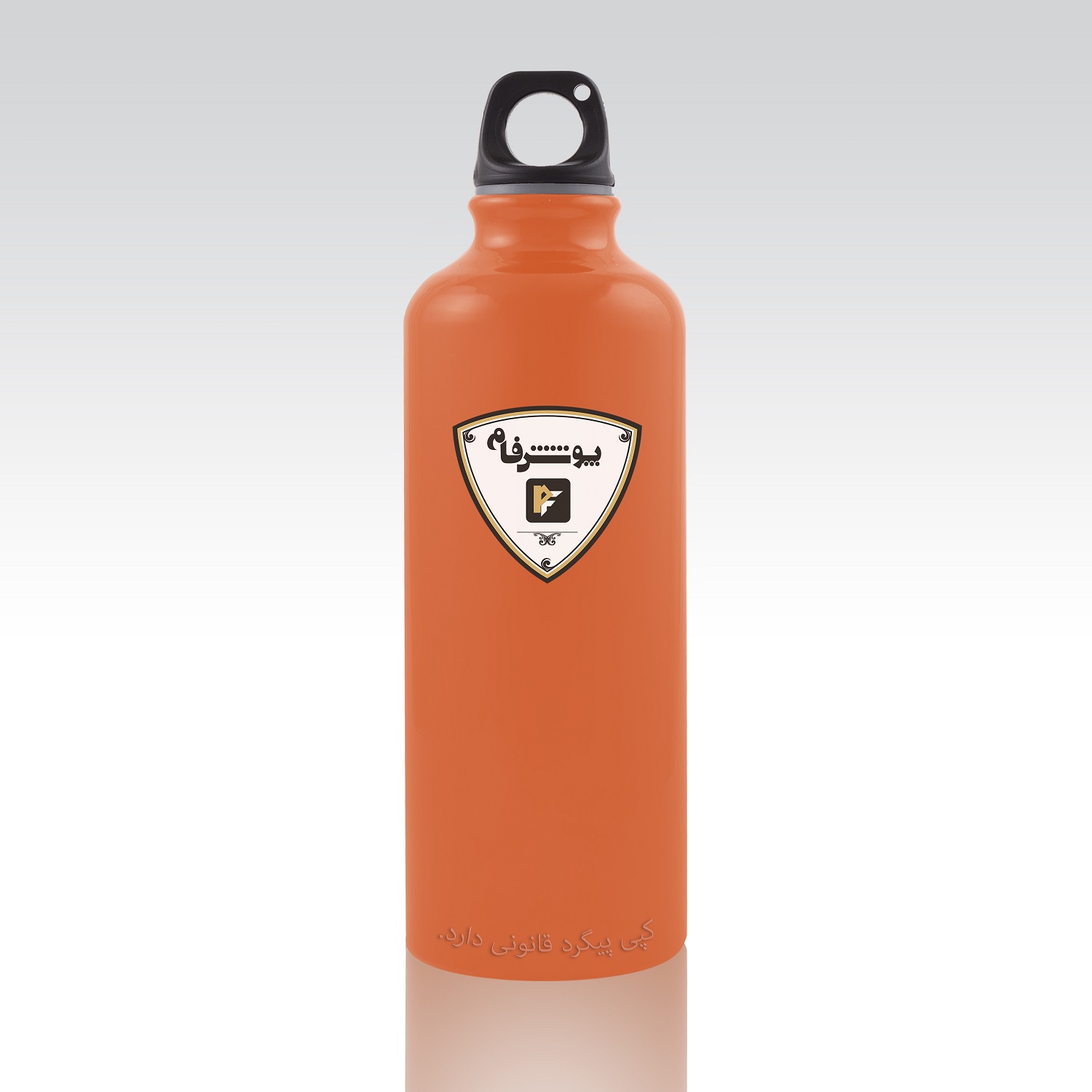 GLOSSY ORANG RAL 2010